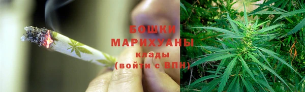 трава Козельск