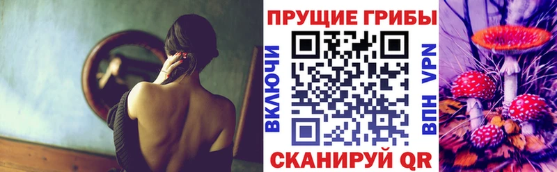 Галлюциногенные грибы GOLDEN TEACHER Купить Кингисепп